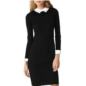 Miusol white collar black bodycon dress zipper back Small